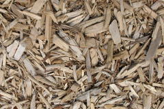 biomass boilers Morestead